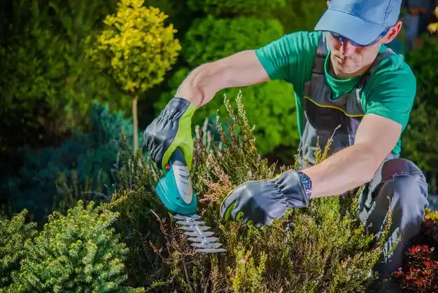 landscaping services Ironton